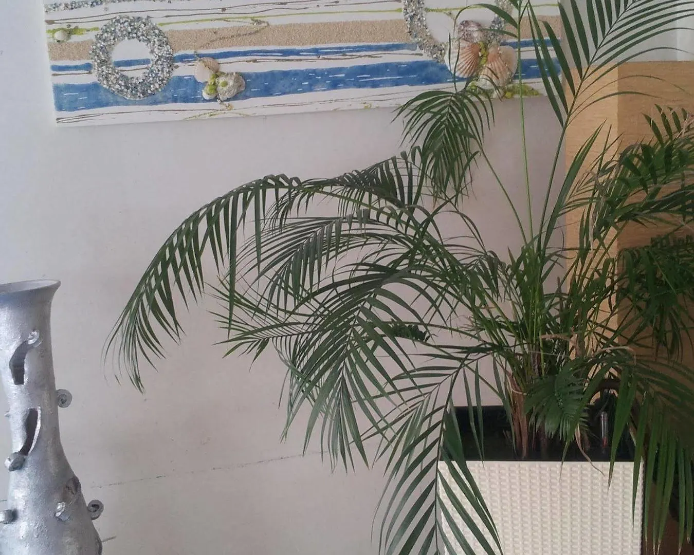 Hotel Vienna Bellaria-Igea Marina